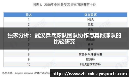 独家分析：武汉乒乓球队团队协作与其他球队的比较研究