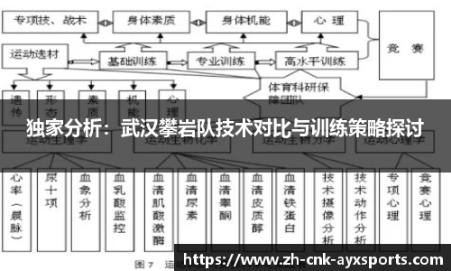独家分析：武汉攀岩队技术对比与训练策略探讨